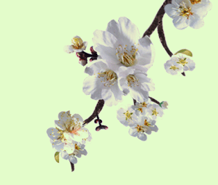 ڽĿ  